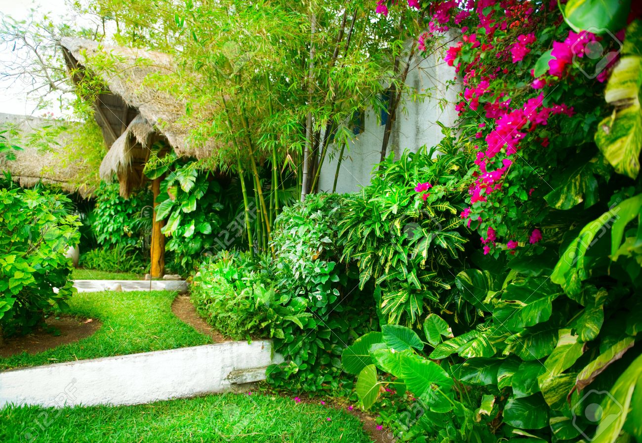 Exotic Landscaping