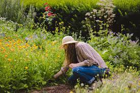 Herbal & Medicinal Gardens