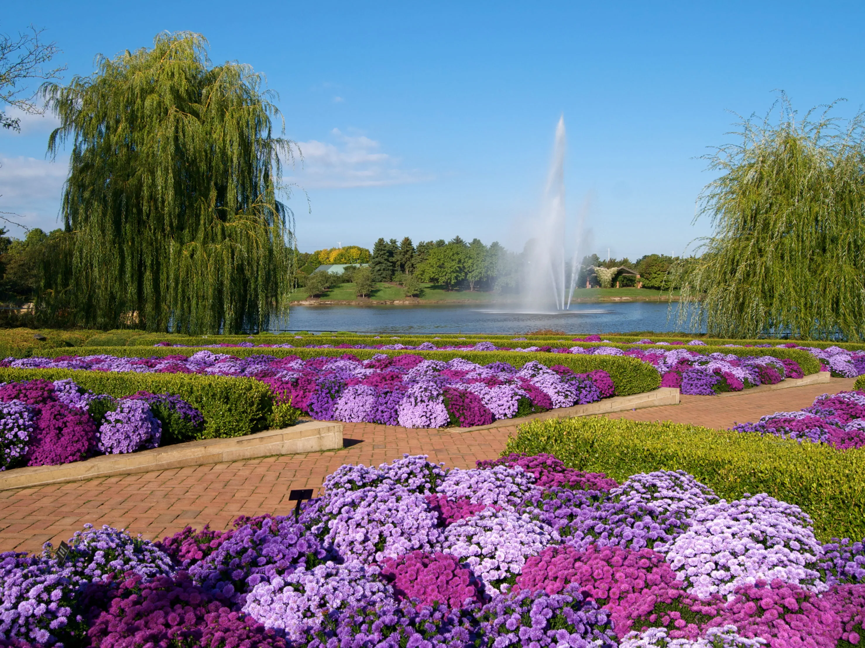 Flower Gardens