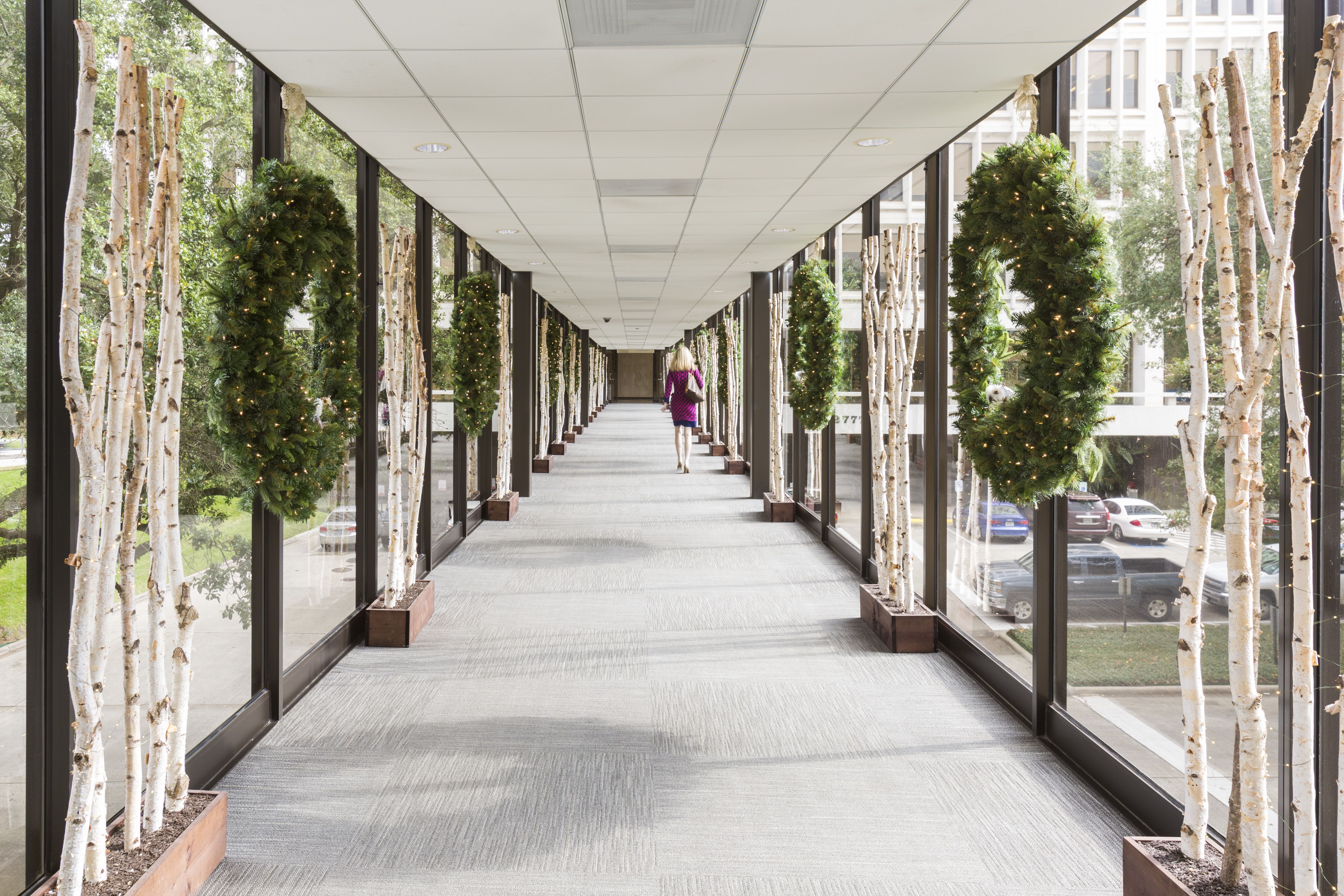 Tree Lined Walkways