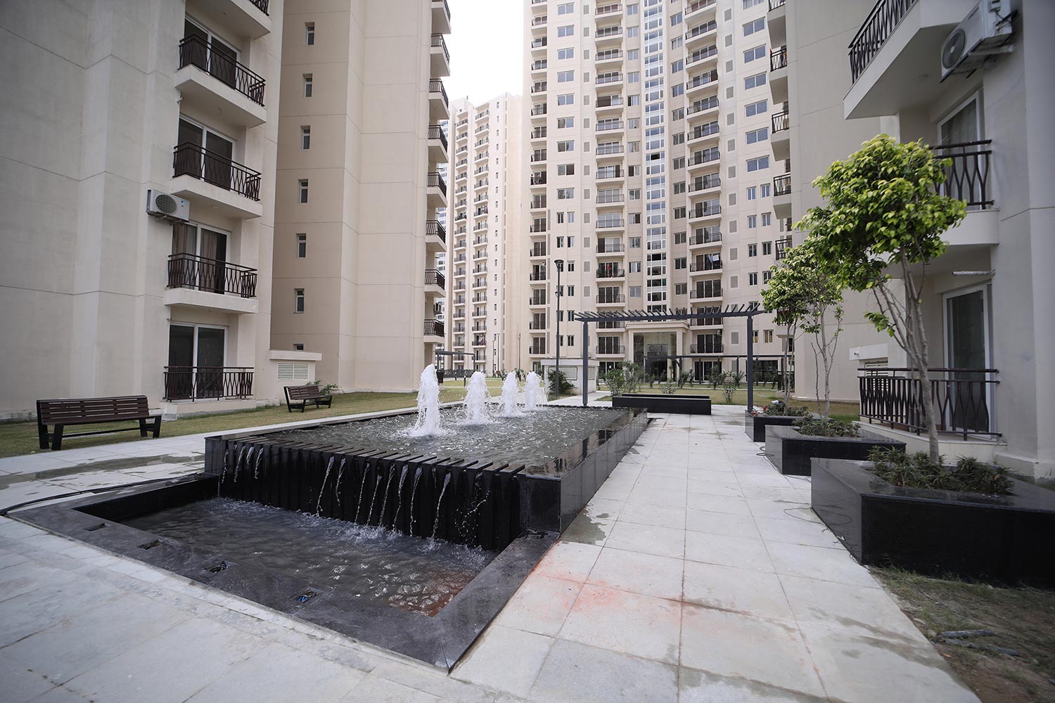 Shalimar One World Vista
